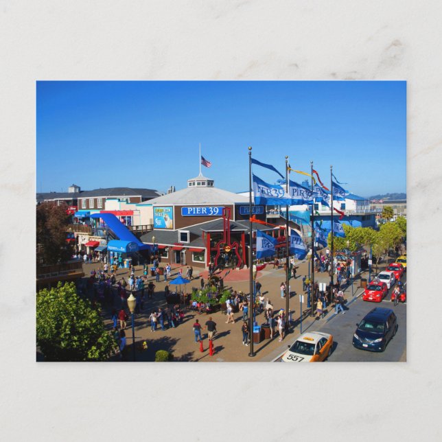 San Francisco Pier 39 #12-1 Postcard (Front)