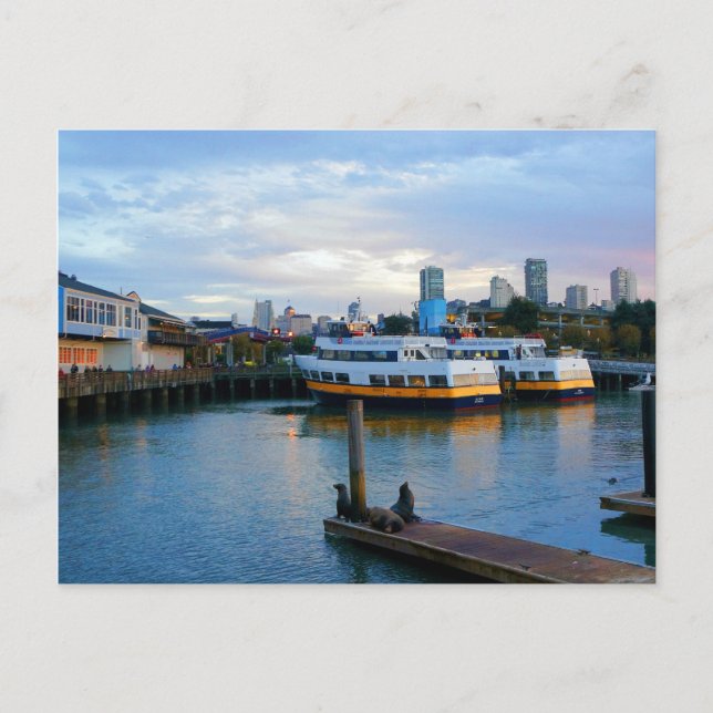 San Francisco Pier 39 #3-4 Postcard (Front)