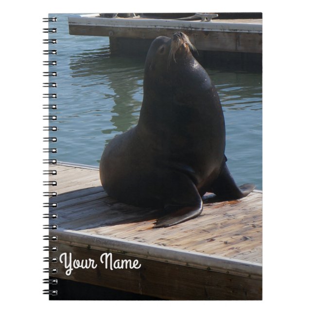 San Francisco Pier 39 Sea Lion #3-2 Notebook (Front)