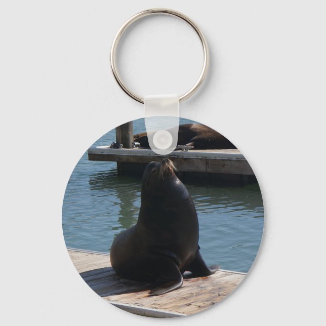 San Francisco Pier 39 Sea Lions #3-2 Keychain (Front)