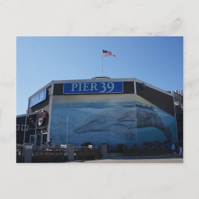 San Francisco Pier 39 Whale Mural Postcard (Front)