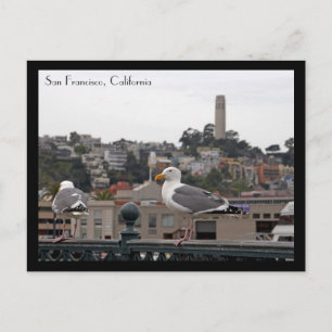 San Francisco Postcard