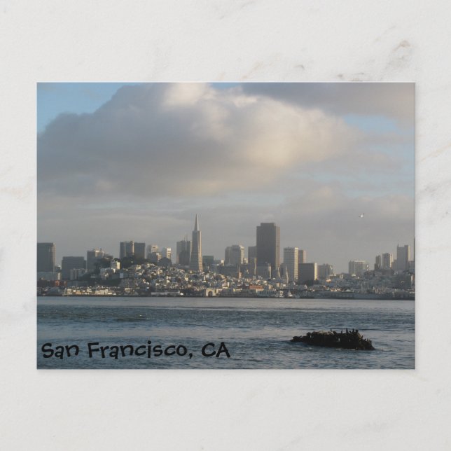 San Francisco Skyline Postcard (Front)