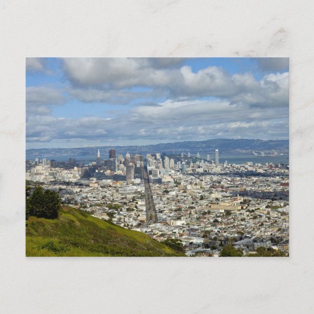 San Francisco skyline Postcard (Front)