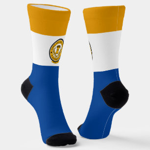 San Jose (California) city flag Socks