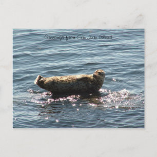 San Juan Island greetings Postcard