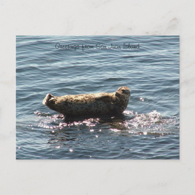 San Juan Island greetings Postcard (Front)