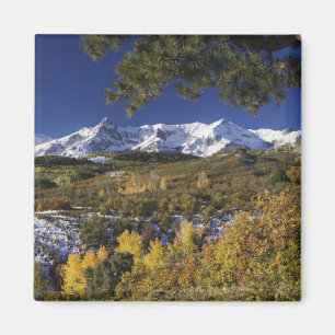 San Juan Mountains and Aspen trees in fallcolor Magnet