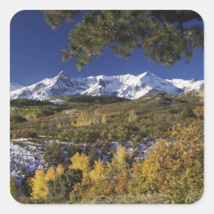 San Juan Mountains and Aspen trees in fallcolor Square Sticker