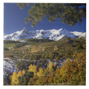 San Juan Mountains and Aspen trees in fallcolor Tile