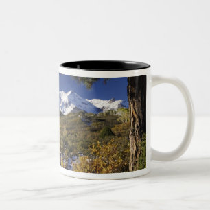 San Juan Mountains and Aspen trees in fallcolor Two-Tone Coffee Mug