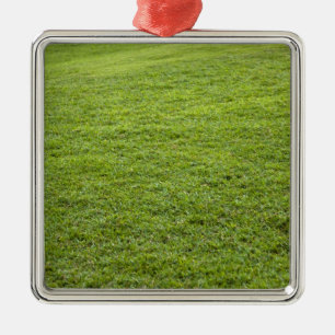 San Juan, Puerto Rico - Green grass is Metal Ornament