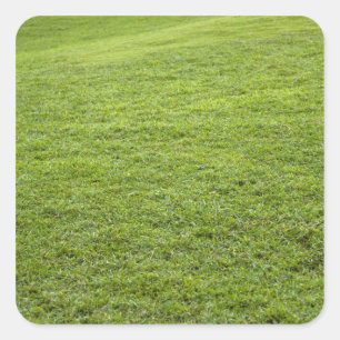 San Juan, Puerto Rico - Green grass is Square Sticker