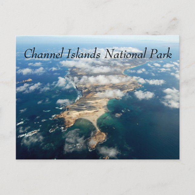 San Miguel Island Channel Islands National Park Postcard (Front)