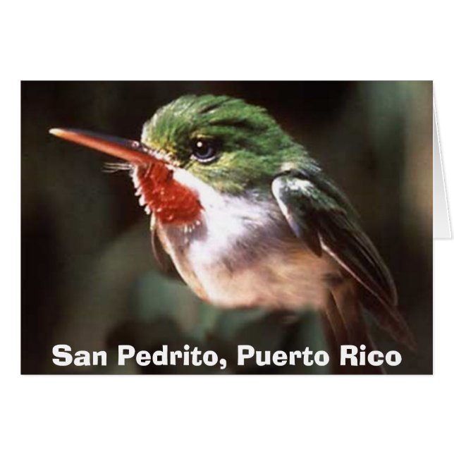 San Pedrito, San Pedrito, Porto Rico (Devant horizontal)