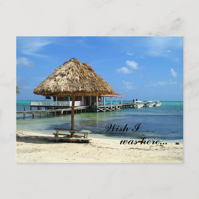 San Pedro, Belize carte postale (Devant)