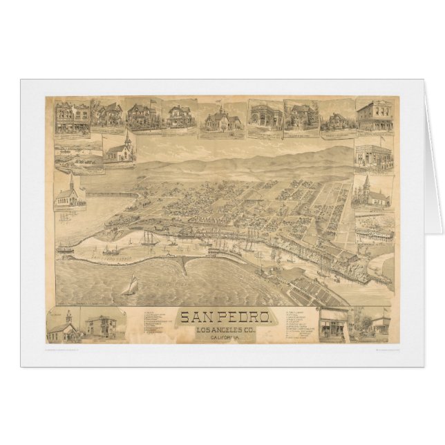 San Pedro, CA. Panoramic Map 1895 (1319A) (Front Horizontal)