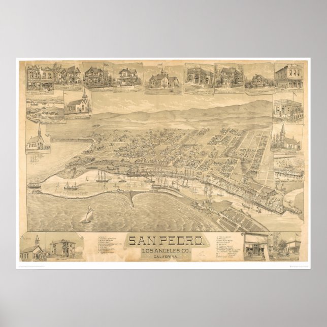 San Pedro, CA. Panoramic Map 1895 (1319A) Poster (Front)