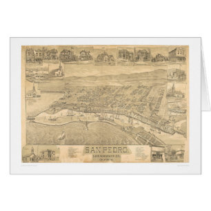 San Pedro, carte panoramique 1895 (1319A) de CA