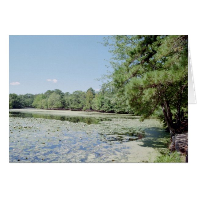 Sanctuaire (Devant horizontal)