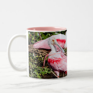 Sanctuaire de spatule : Gemmes cachées Mug