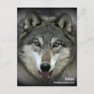 Sanctuaire de Wolf Mountain - Carte postale Istas