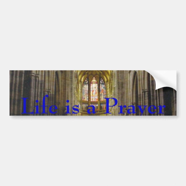Sanctuary Bumper Sticker (Front)
