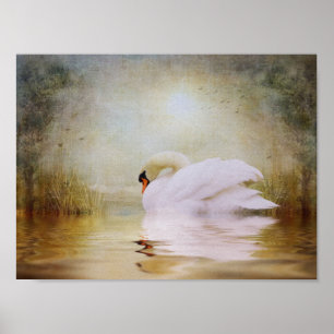 Sanctuary Within Poster