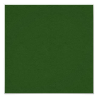 SAND AND BEACH SOLID DARK FOREST GREEN BACKGROUND PHOTO PRINT