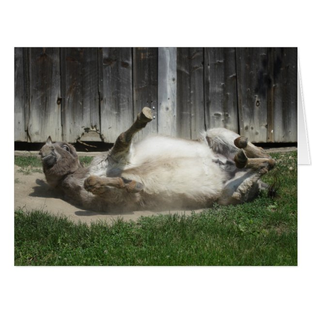 Sand Bathing Donkey (Front Horizontal)