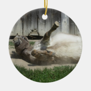 Sand Bathing Donkey Ceramic Ornament