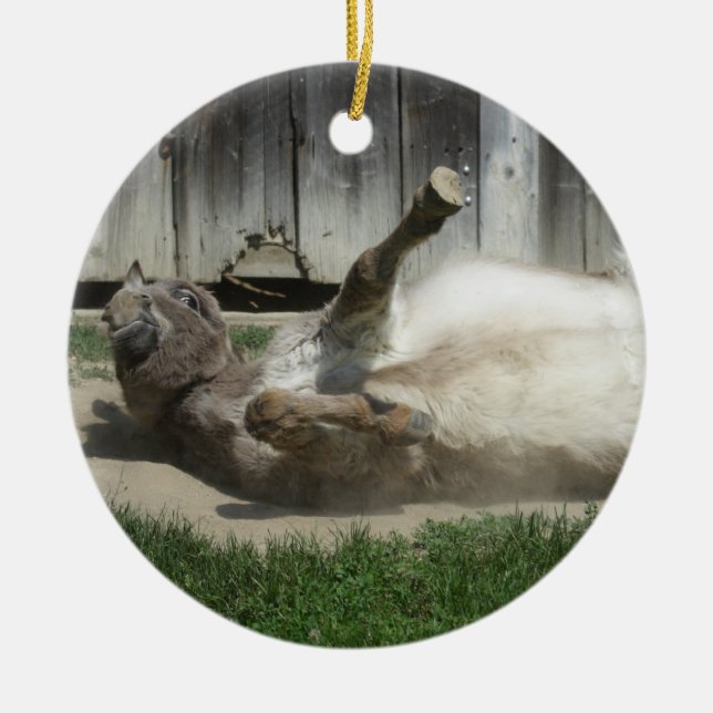 Sand Bathing Donkey Ceramic Ornament (Front)