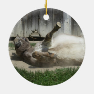 Sand Bathing Donkey Ceramic Ornament