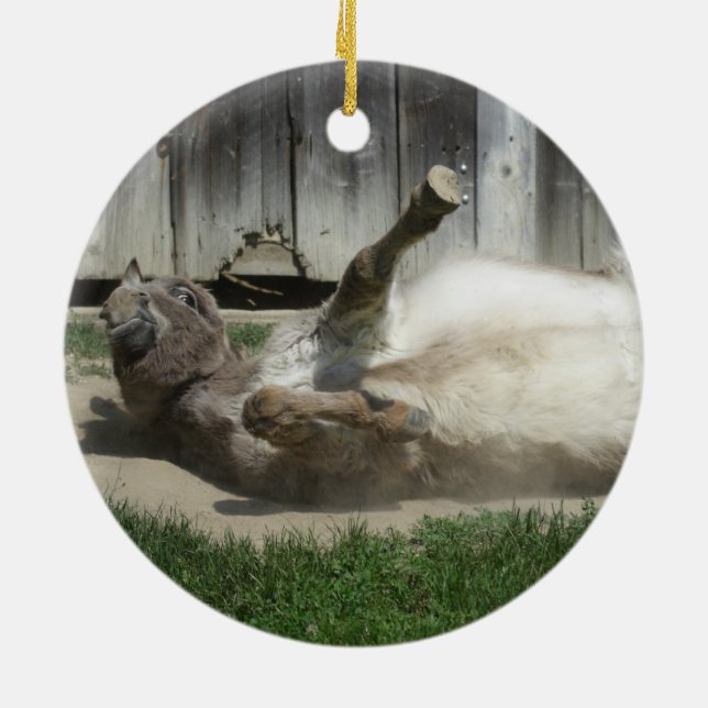 Sand Bathing Donkey Ceramic Ornament (Back)