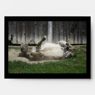 Sand Bathing Donkey Envelopes