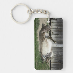 Sand Bathing Donkey Keychain