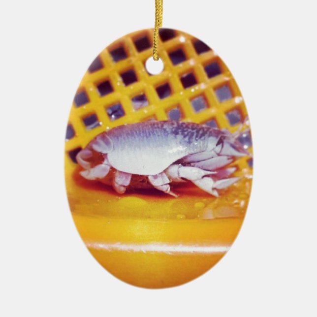 Sand Crabs (Photography) Ceramic Ornament (Front)