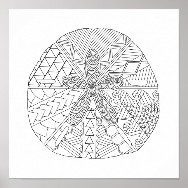 Sand Dollar Adult Colouring Poster (Front)