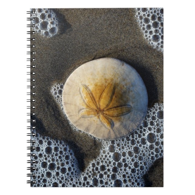 Sand Dollar and Surf Beach Photo Spiral Notebook (Front)
