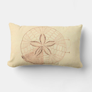 Sand Dollar Beach Illustration Lumbar Pillow