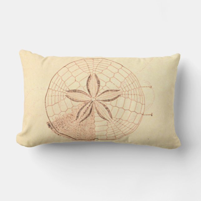 Sand Dollar Beach Illustration Lumbar Pillow (Front)