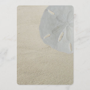 Sand Dollar Beach Sand Blank Program Fan Paper
