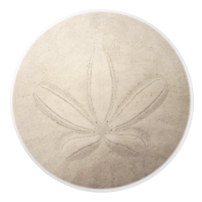 Sand Dollar Ceramic Pull (Front)