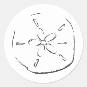 Sand Dollar Drawing Classic Round Sticker