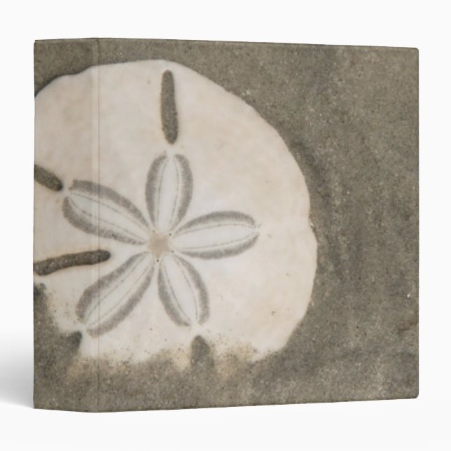 Sand dollar (Echinarachnius parma) Binder (Front/Spine)