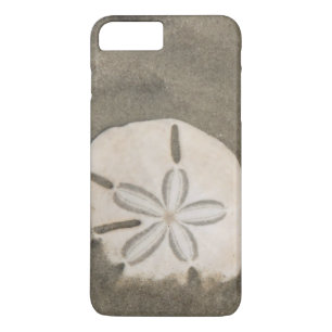 Sand dollar (Echinarachnius parma) Case-Mate iPhone Case
