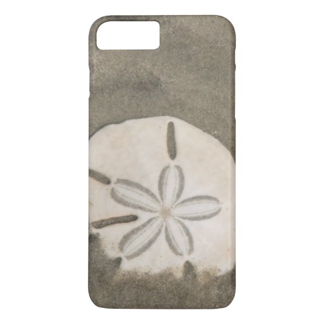 Sand dollar (Echinarachnius parma) Case-Mate iPhone Case (Back)