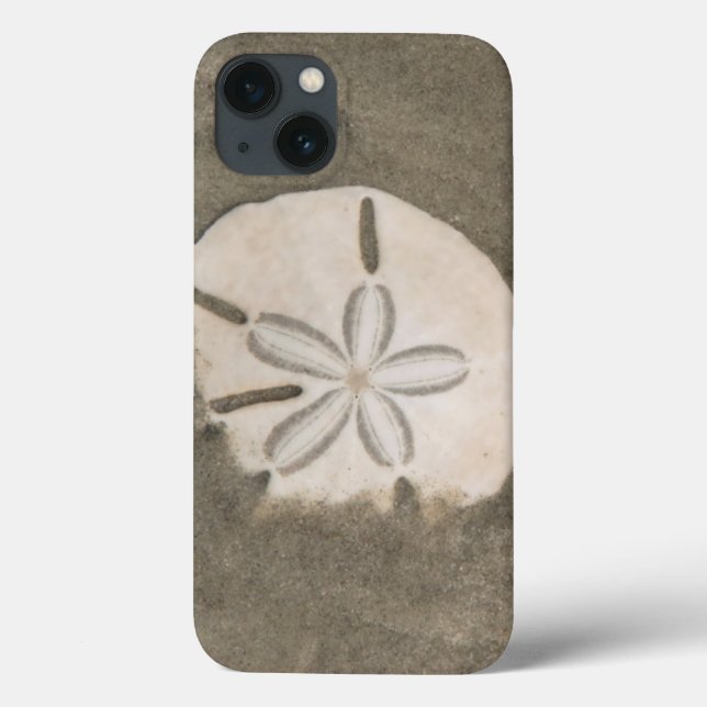 Sand dollar (Echinarachnius parma) Case-Mate iPhone Case (Back)