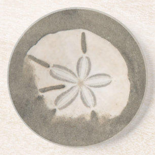Sand dollar (Echinarachnius parma) Coaster