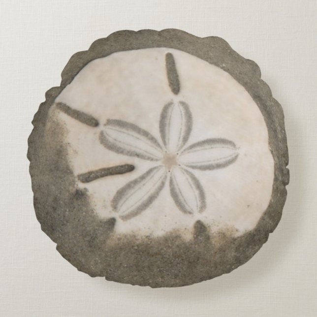 Sand dollar (Echinarachnius parma) Round Pillow (Front)